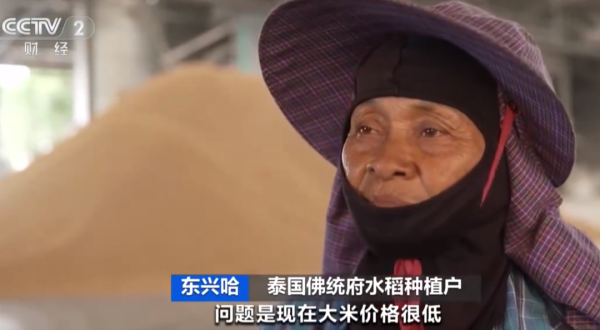 冠达配资 全球米价都在跌，日本却涨了又涨，原因在哪里？