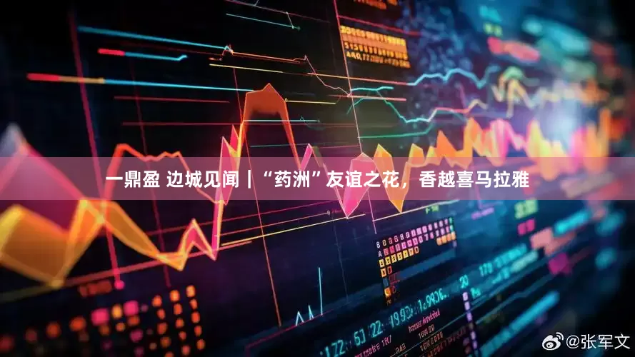 一鼎盈 边城见闻｜“药洲”友谊之花，香越喜马拉雅